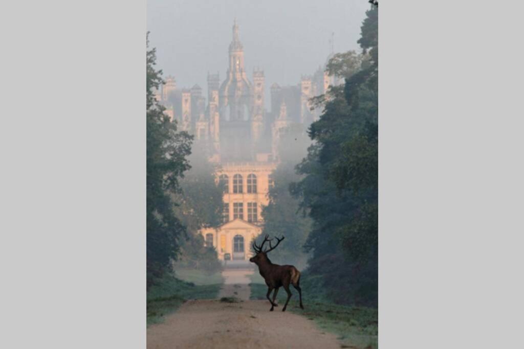 Les Bruyeres De Jeanne Et Rene Zoo De Beauval A 20Min,Chateaux Tout Inclus Fontguenand Exteriör bild
