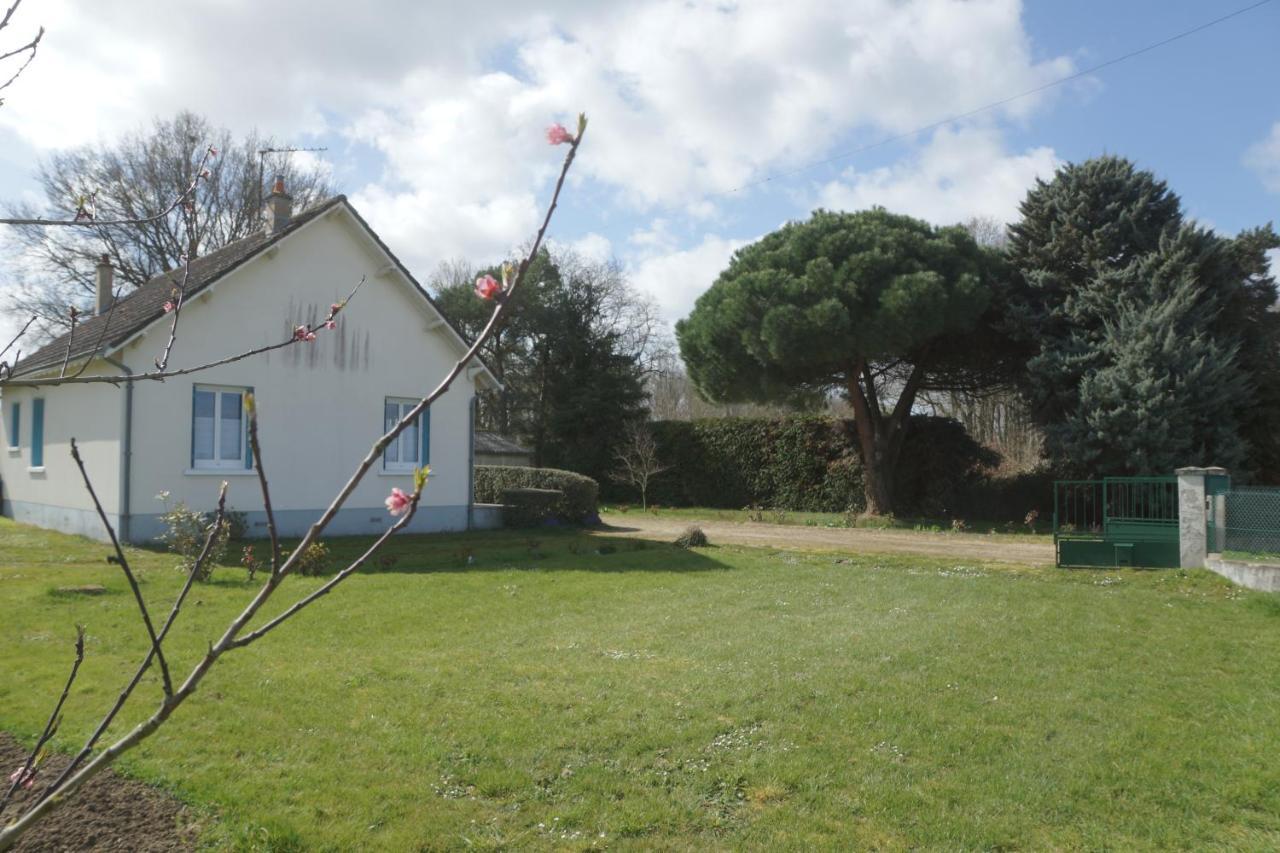 Les Bruyeres De Jeanne Et Rene Zoo De Beauval A 20Min,Chateaux Tout Inclus Fontguenand Exteriör bild
