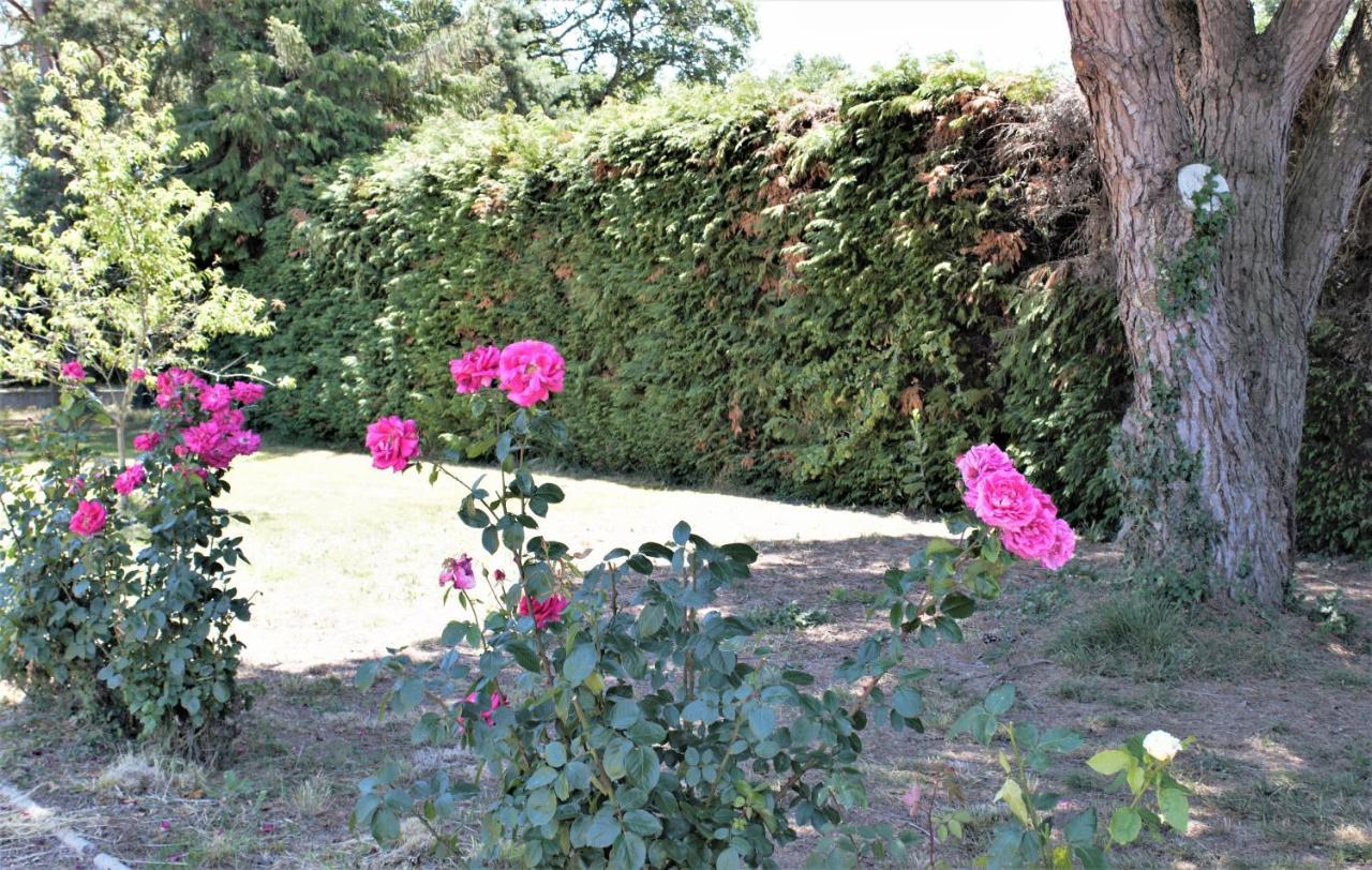 Les Bruyeres De Jeanne Et Rene Zoo De Beauval A 20Min,Chateaux Tout Inclus Fontguenand Exteriör bild