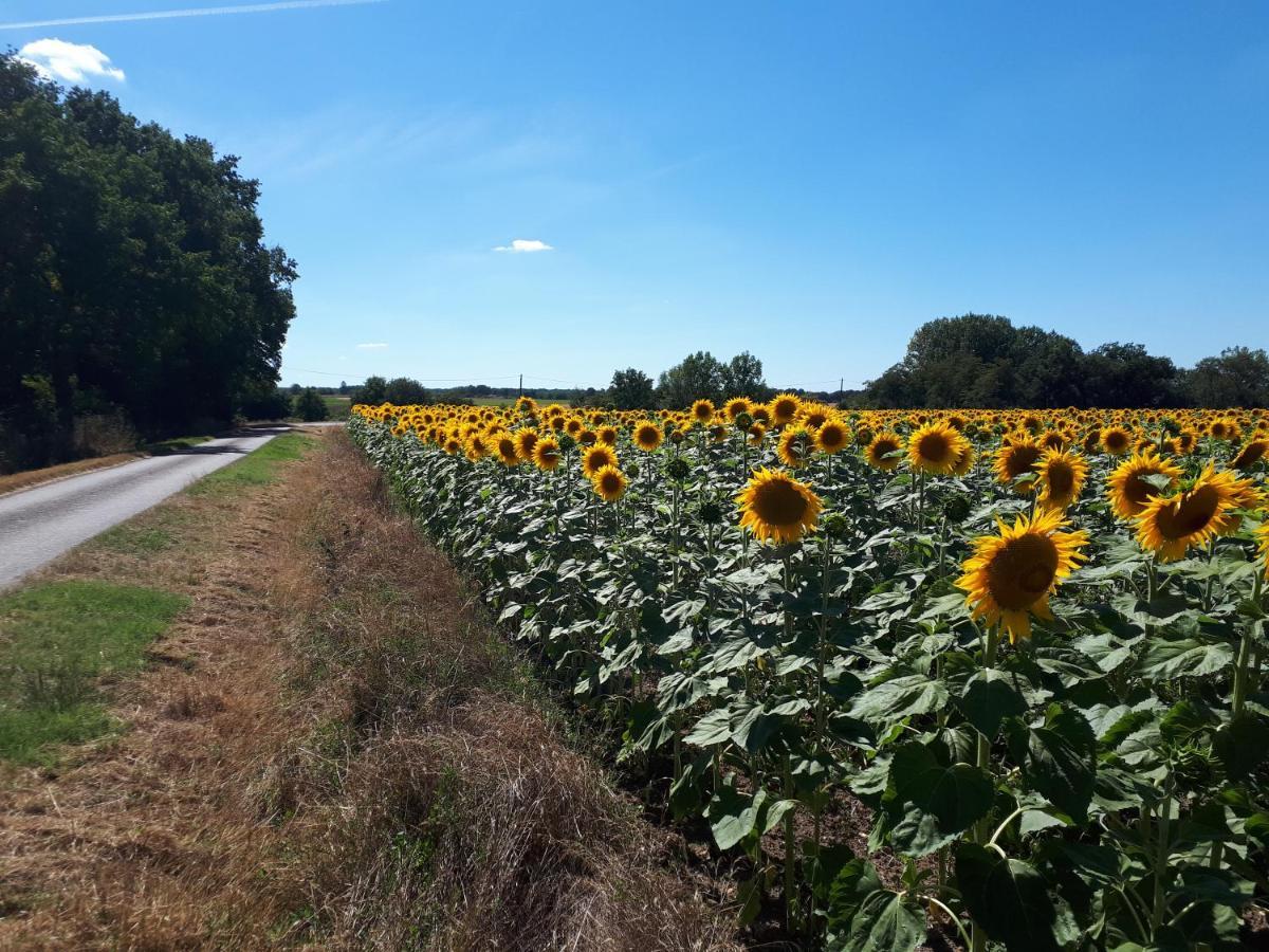 Les Bruyeres De Jeanne Et Rene Zoo De Beauval A 20Min,Chateaux Tout Inclus Fontguenand Exteriör bild